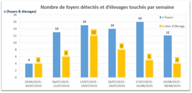 Illustration de l'actualité