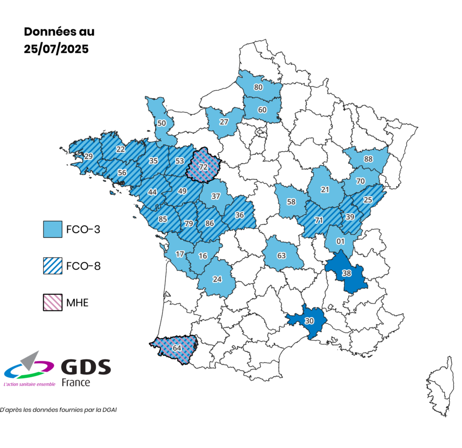Illustration de l'actualité