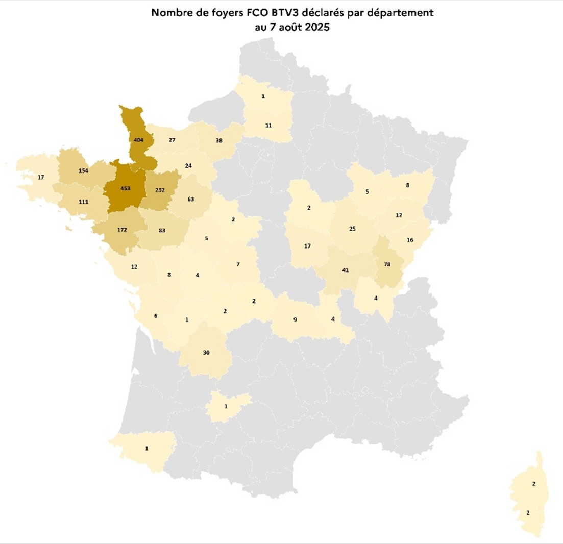 Illustration de l'actualité