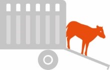 Illustration de l'actualité