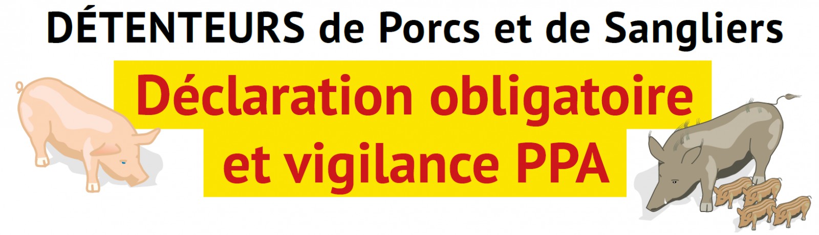 Illustration de l'actualité