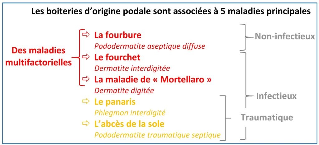 Crédit image : GDS 23