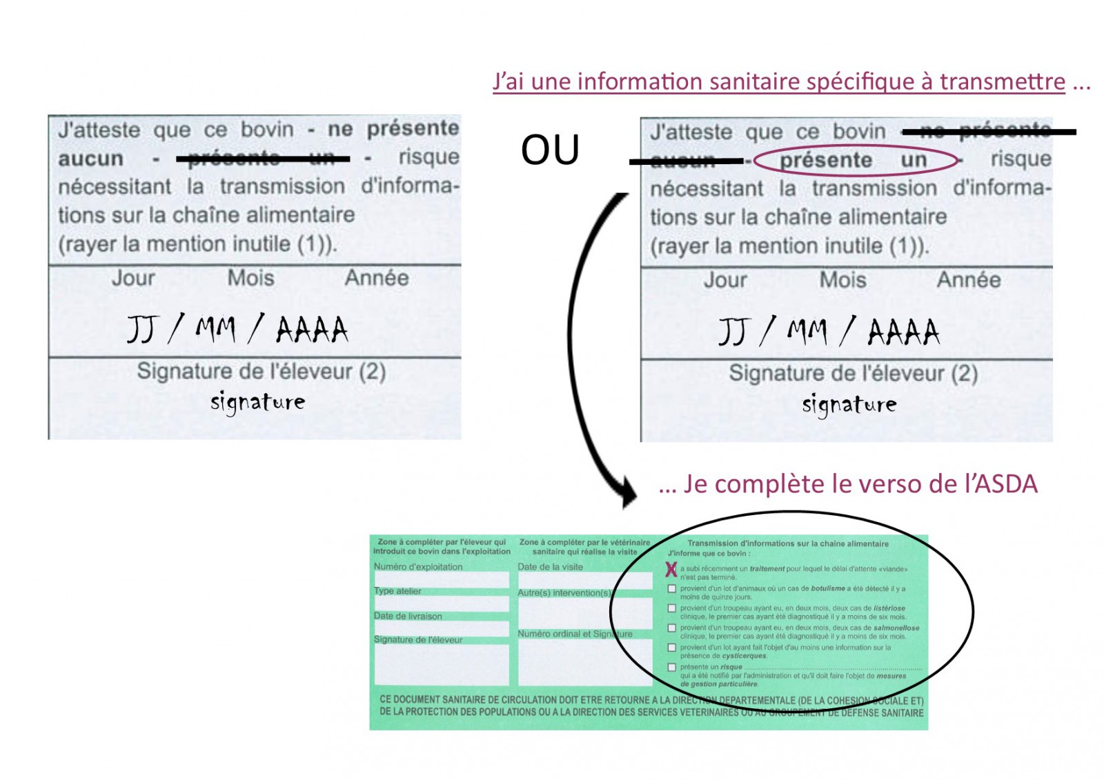 Illustration de l'actualité